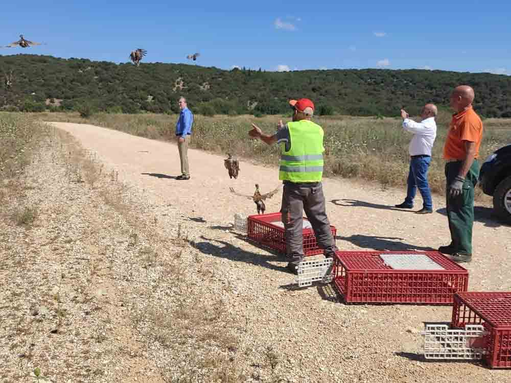 Απελευθέρωση φασιανών στην περιοχή της Τάκας