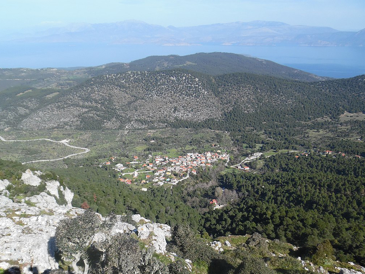 Επανεμφάνιση του λύκου στην Πελοπόννησο